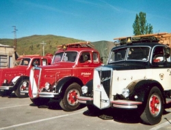 Mec motor di bruni celestino & c. snc - Officine meccaniche - Castellana Grotte (Bari)