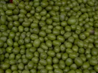 Distribuzione olive ditta oli alimentari e frantoi oleari
