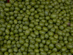 Distribuzione olive ditta - Oli alimentari e frantoi oleari - Castelfidardo (Ancona)