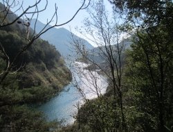 Consorzio forestale terra tra i due laghi - Vigilanza e sorveglianza - Valvestino (Brescia)