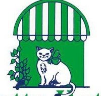 Gatto hotel pensione per gatti - Animali domestici - allevamento, addestramento e pensioni - Carasco (Genova)