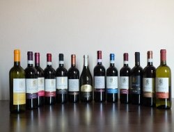 Enoteca del castello di lozzolo srl con unico socio - Enoteche e vendita vini - Lozzolo (Vercelli)