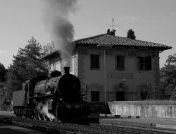 Fondazione giovanni michelucci - Associazioni artistiche, culturali e ricreative - Fiesole (Firenze)