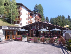Hotel splendor snc di webber maurizio e c. - Alberghi - Dimaro Folgarida (Trento)