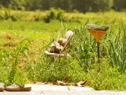 Agri moschella di maria vittoria moschella - Agricoltura - attrezzi, prodotti e forniture - Maierato (Vibo Valentia)