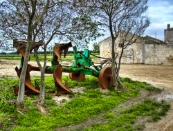 Agri progetto società srl - Macchine agricole - riparazione e vendita - Castelnuovo Scrivia (Alessandria)