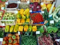 Mondial primizie sas di impagliazzo michelangelo frutta e verdura ingrosso