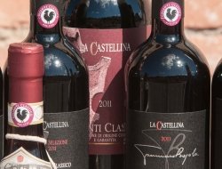 Fattoria la castellina di tommaso bojola
mi scusi ma le foto sono del sito del cliente e rispettano le misure minime richieste, dove è indicato di no - Vini e spumanti - produzione e ingrosso - Castellina in Chianti (Siena)