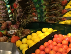 Commerciale g.m. dieci srl - Alimentari - prodotti e specialità - Mandas (Cagliari)
