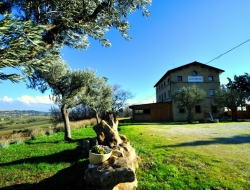 Agriturismo la sella di pitino - Agriturismo - San Severino Marche (Macerata)