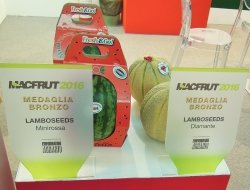 Lamboseeds s.r.l. - Agricoltura - attrezzi, prodotti e forniture ,Ortofrutticoltura,Sementi e bulbi - Sant'Agata Bolognese (Bologna)