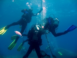 Sea sub - Sport - attrezzature per subacquei (produzione e ingrosso) - Genova (Genova)