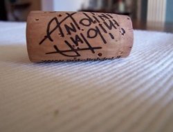 Antolini - Vini e spumanti - produzione e ingrosso - Marano di Valpolicella (Verona)