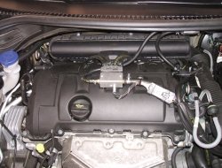 Gas auto forlanini - Autofficine e centri assistenza,Distribuzione carburanti e stazioni di servizio - Milano (Milano)