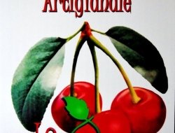 Le amarene:gelateria & yogurteria artigianale - Gelaterie - Massa (Massa-Carrara)