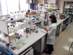 Chemicalab del dott. giovini domenico s.r.l. - Analisi chimiche, industriali e merceologiche - Modena (Modena)