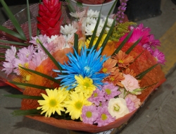 Piante e fiori il capoccia di capoccia maria pia - Fiorai - Civitella d'Agliano (Viterbo)
