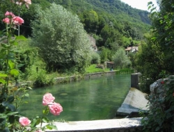 Hotel calvi - Alberghi - Vittorio Veneto (Treviso)