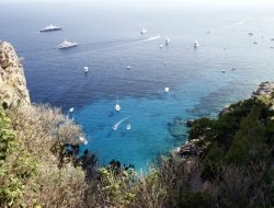 Moving in capri - Agenzie viaggi e turismo - Anacapri (Napoli)