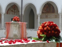 Giardino dei fiori prinzivalli - Fiorai - Petrosino (Trapani)