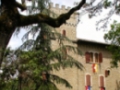 Opinioni degli utenti su Castello Cortevecchio