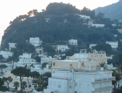 Hotel la canasta di pietro d'emilio sas - Hotel - Capri (Napoli)