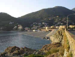 Albergo lungomare di poletti nicola & c. s.a.s. - Alberghi,Ristoranti - Bonassola (La Spezia)