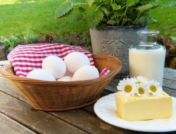 Di biase berardino - Mangimi, foraggi ed integratori zootecnici - Baranello (Campobasso)