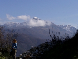 Il rifugio - Alberghi,Ristoranti - Calvanico (Salerno)