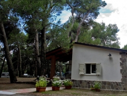 Camping nessuno di saggiomo roberto snc - Campeggi, ostelli e villaggi turistici - Camerota (Salerno)