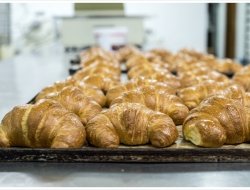 Vanni oscar - Panetterie - Gradara (Pesaro-Urbino)