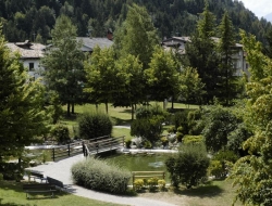 Albergo betulla s.n.c. - Alberghi,Ristoranti,Hotel - Onore (Bergamo)