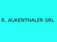 R. aukenthaler s.r.l energia elettrica societa di produzione e servizi
