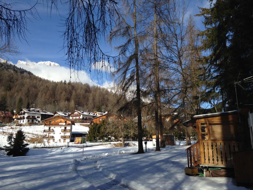 Campeggi CAMPING ROCCHETTA DI Cortina d'Ampezzo Belluno Campeggi CAMPING ROCCHETTA DI Cortina d'Ampezzo Belluno