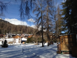 Camping rocchetta di menardi anna giulia e c. sas - Campeggi, ostelli e villaggi turistici - Cortina d'Ampezzo (Belluno)