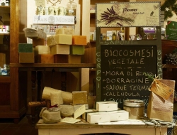 Sanitaria ed erboristeria di bartolucci cinzia e c. snc - Erboristerie - Amelia (Terni)