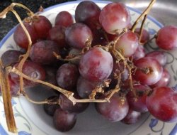 Liber sas di scartezzini marco e c. - Agenti e rappresentanti di commercio,Enoteche e vendita vini,Gastronomie, salumerie e rosticcerie - Trento (Trento)