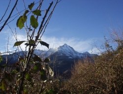 Albergobuongusto - Alberghi - Crodo (Verbano-Cusio-Ossola)