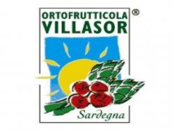 Cooperativa agricola ortofrutticola villasor - Cooperative alimentari,Ortofrutticoltura - Villasor (Cagliari)