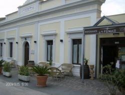 Ristorante la fenice - Ristoranti - Numana (Ancona)