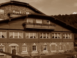 Mountain hotel zaluna - Alberghi - Predazzo (Trento)