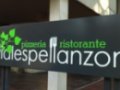 Opinioni degli utenti su Ristorante Vialespellanzon