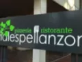 Opinioni degli utenti su Ristorante Vialespellanzon