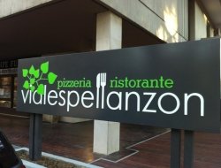 Ristorante vialespellanzon - Ristoranti - trattorie ed osterie - Conegliano (Treviso)