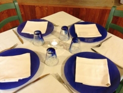 Ristorante del pesce e pizzeria massimo - Ristoranti - Massa (Massa-Carrara)