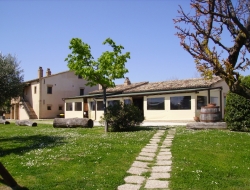 Agriturismo oasi belvedere - Agriturismo - Monte San Pietrangeli (Fermo)