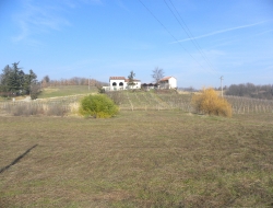 Agriturismo il campasso - Agriturismo - Strevi (Alessandria)