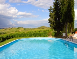 Agriturismo casa bassa - Agriturismo - Certaldo (Firenze)