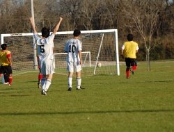 Orvietana calcio srl - Sport - associazioni e federazioni - Orvieto (Terni)