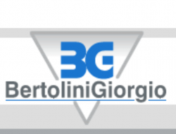 Bertolini giorgio sas di bertolini marco e c. - Pompe d'iniezione per motori - Parma (Parma)